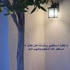 q2v6d9_o