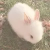 ummiyumm1