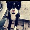 liz_14_16