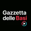 basi2852