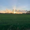 roksolanadonkerbroek