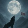 Tahir Eser 🇹🇷