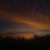 eduardo_69_2
