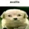 ahpz_12