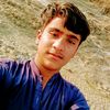 shaoidasti20