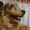 andy112_5
