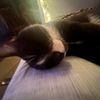 arien.hillman67