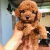 quynhquynh5566