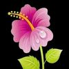 user378713137