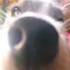 xyz_bouy