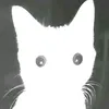 mahnameisnobody