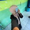 taa_botolyakult1