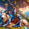 shree.prasad61