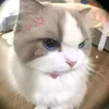 misaa_874