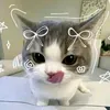 anna_19.03