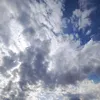 yteeh_5