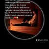user5546661530041