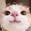ur.girl.sherly02