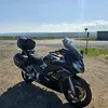 bripics80