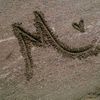 user44951386550176
