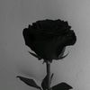 out.of.love0
