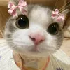 chum_ffvn