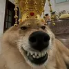 allainganhat_123