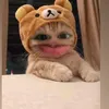 thi.linh247