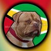 Monster_Canine_Kennel_Guyana