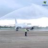 maiaviationcabincrewfan