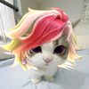 .kiboy_onic