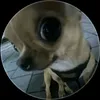 maingan_444