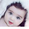 moazam1046
