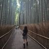 オリ@韓国留学