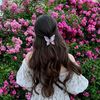 shahed.ahmed649