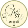 anishape007