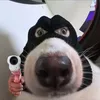 zia.bao