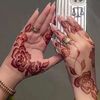 liqaa54