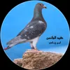 user6324150672162
