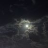 hamse_39