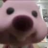 raeraetaesa