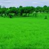 user7810397540870