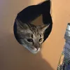 snopptomte