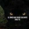 lenin43645