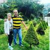 basilio.homsy
