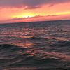 kelsey.rose018