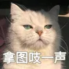 meogame558