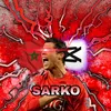 sarko_fy