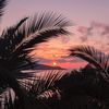 badriya.alhashash