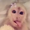miahnz12